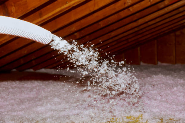 Best Geographic-Specific Insulation Services in Matoaca, VA