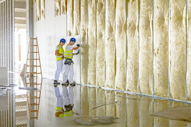 Best Commercial Insulation in Matoaca, VA